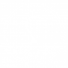 GyroTonic Torino